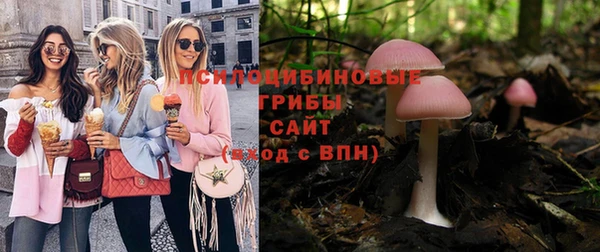 прущая мука Верхний Тагил